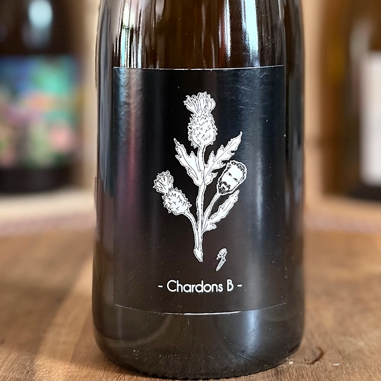 Chardons B.webp
